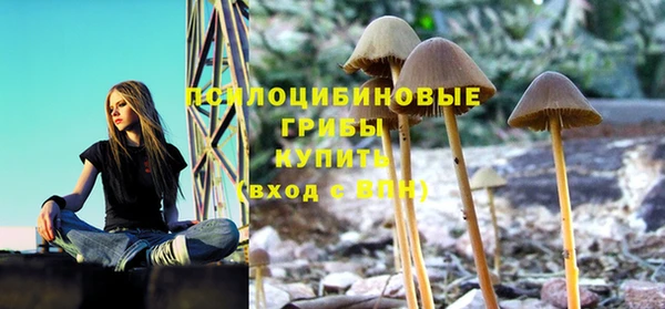 гашиш Данков